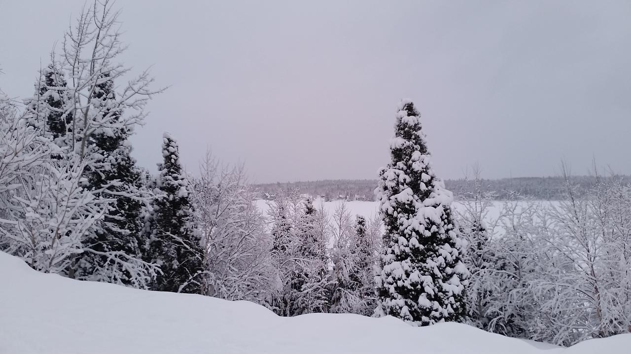 Residence Touristique Lodge Des Bois Saint-Felix-d'Otis Екстер'єр фото
