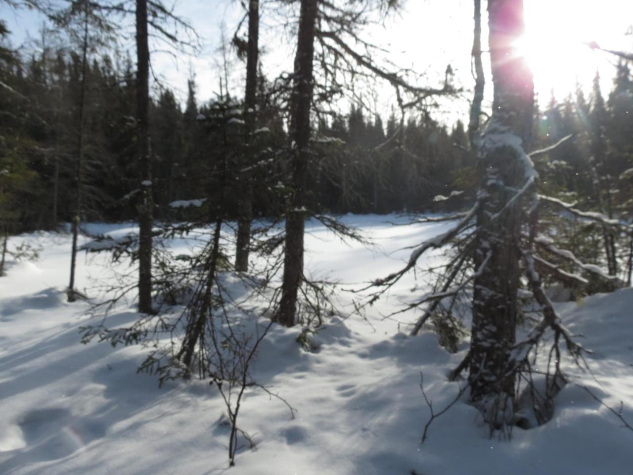 Residence Touristique Lodge Des Bois Saint-Felix-d'Otis Екстер'єр фото